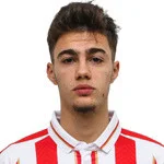 N. Mituljikić photo